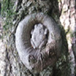 Meet your Posher, Philip